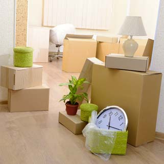 cartons