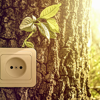 Quelle offre d’électricité verte choisir selon vos besoins ?