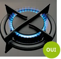 Flamme bleue