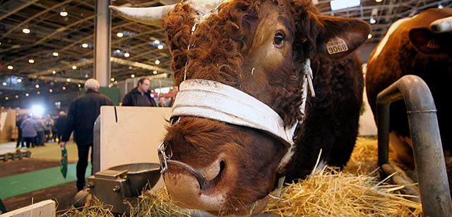salon de l'agriculture