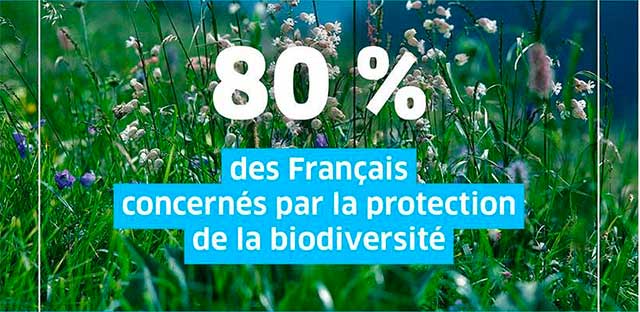 infographie biodiversité