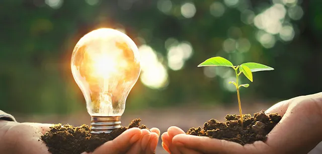 énergies renouvelable et l'emploi