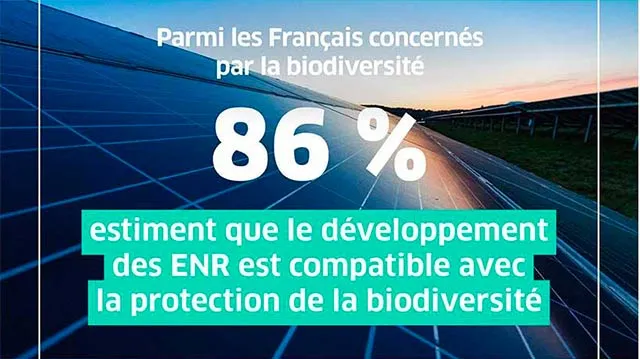 infographie biodiversité
