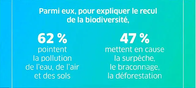 infographie biodiversité