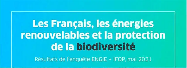 infographie biodiversité