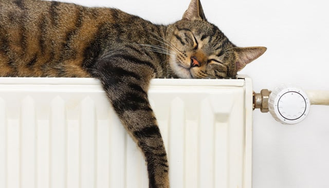 Vacances d'hiver : comment régler vos radiateurs