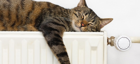 Vacances d’hiver: comment régler vos radiateurs ?