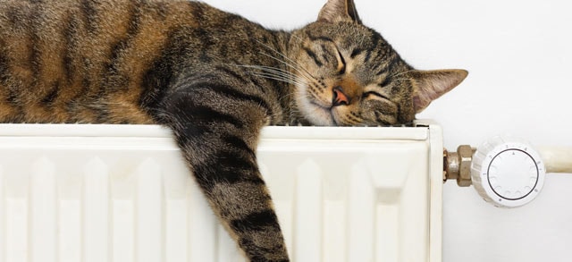 Vacances d’hiver: comment régler vos radiateurs ?