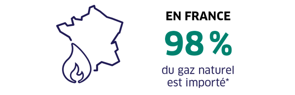 marché du gros du gaz naturel 